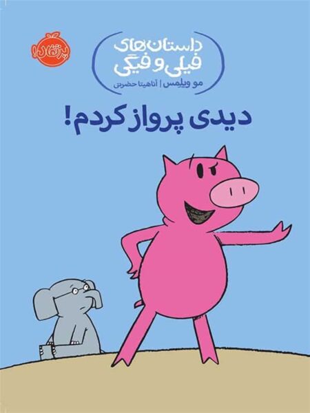 دیدی پرواز کردم
