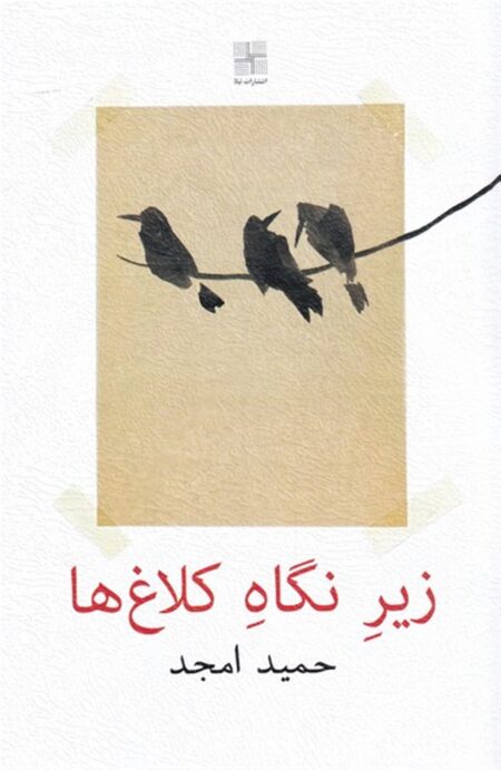 زیر نگاه کلاغ‌ها