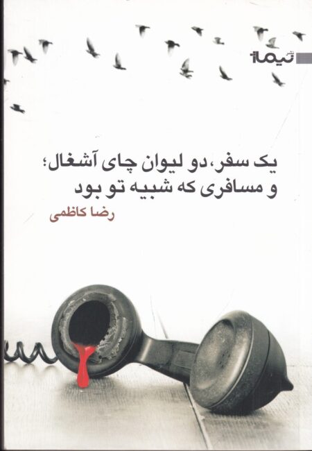 یک سفر، دو لیوان چای آشغال و مسافری که شبیه تو بود