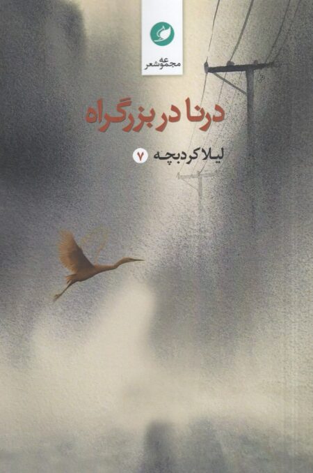 درنا در بزرگراه