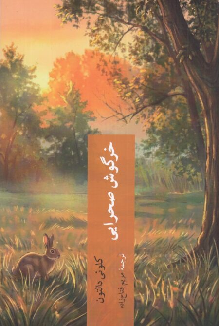 خرگوش صحرایی