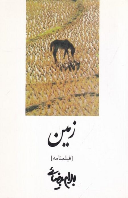 زمین: فیلمنامه