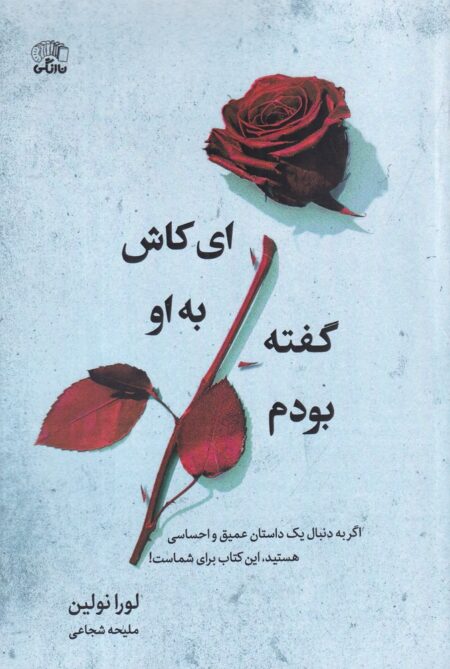 ای کاش به او گفته بودم