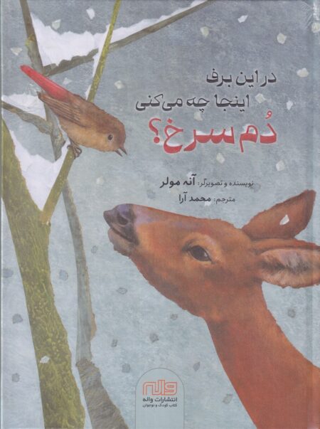 در این برف اینجا جه می‌کنی دم سرخی؟