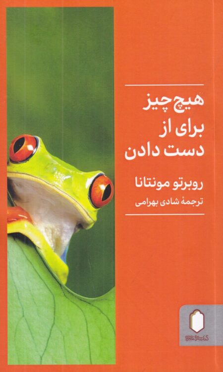 هیچ‌چیز برای از دست دادن