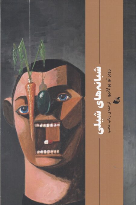 شبانه‌ی شیلی