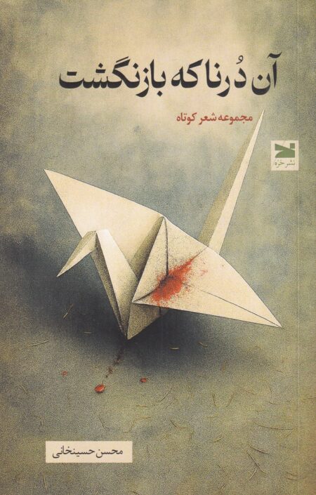 آن درنا که بازنگشت