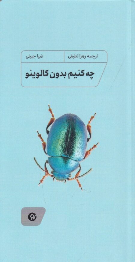 چه کنیم بدون کالوینو