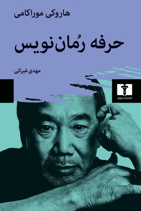 حرفه رمان‌نویس